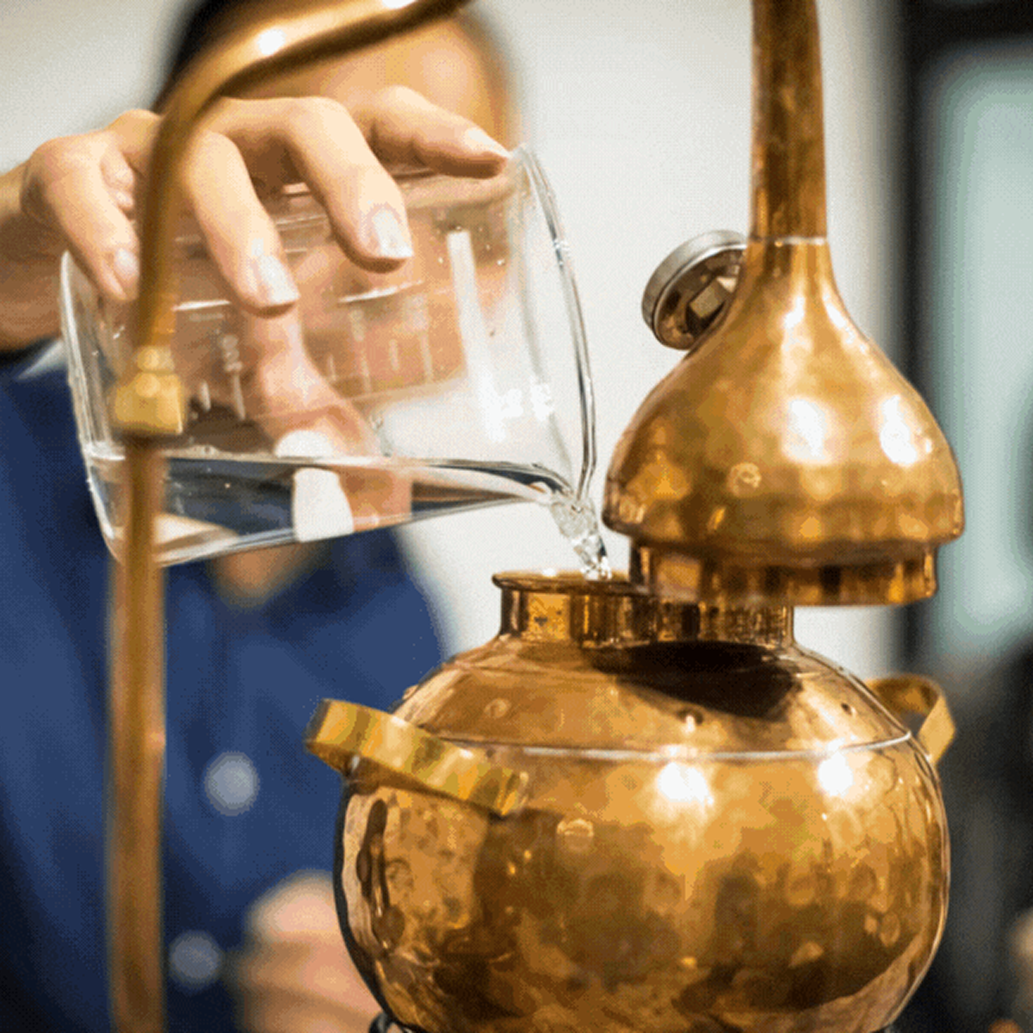Gin-School