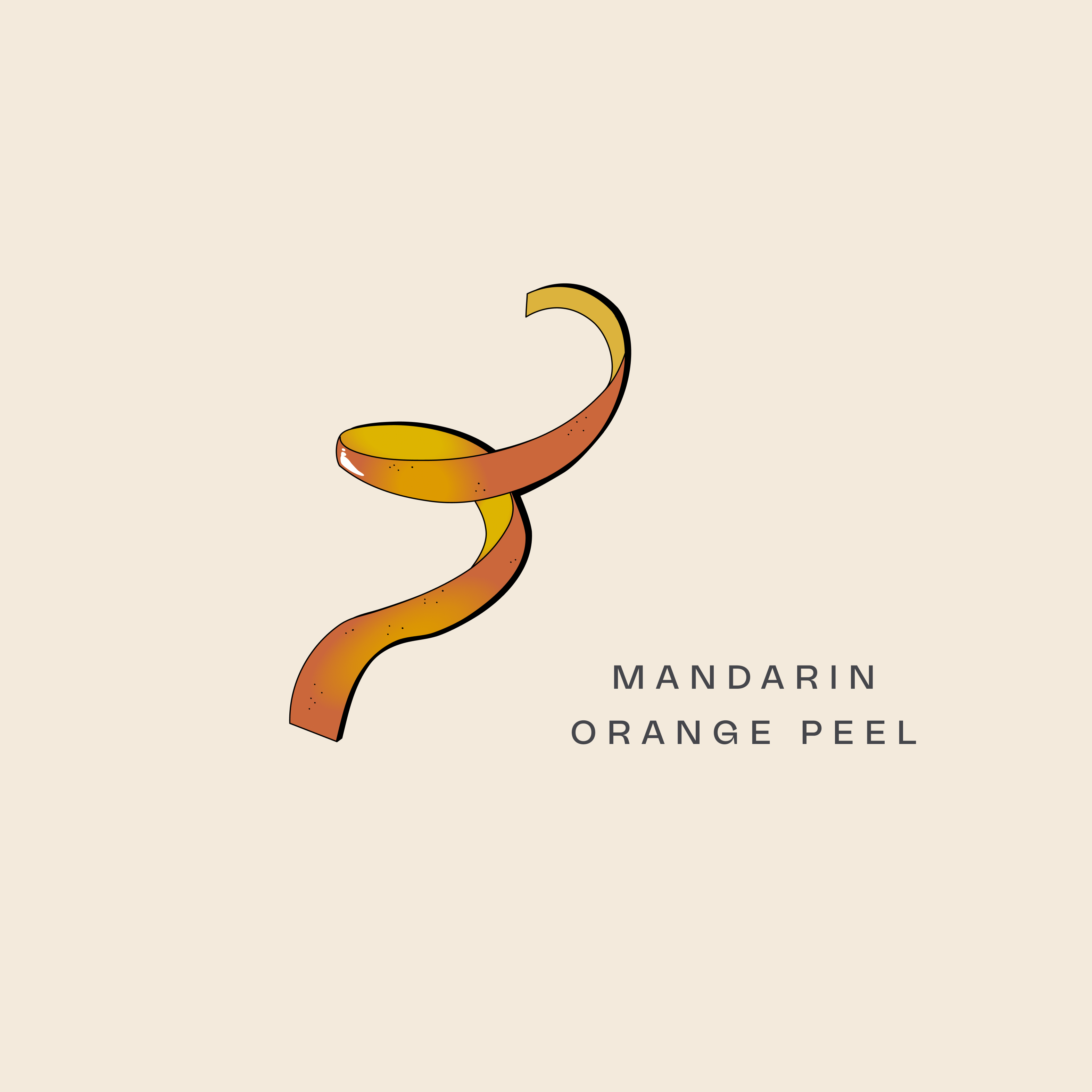 Illustration of mandarin orange peel curl, used for citrus notes in Brass Lion Pahit Pink Gin