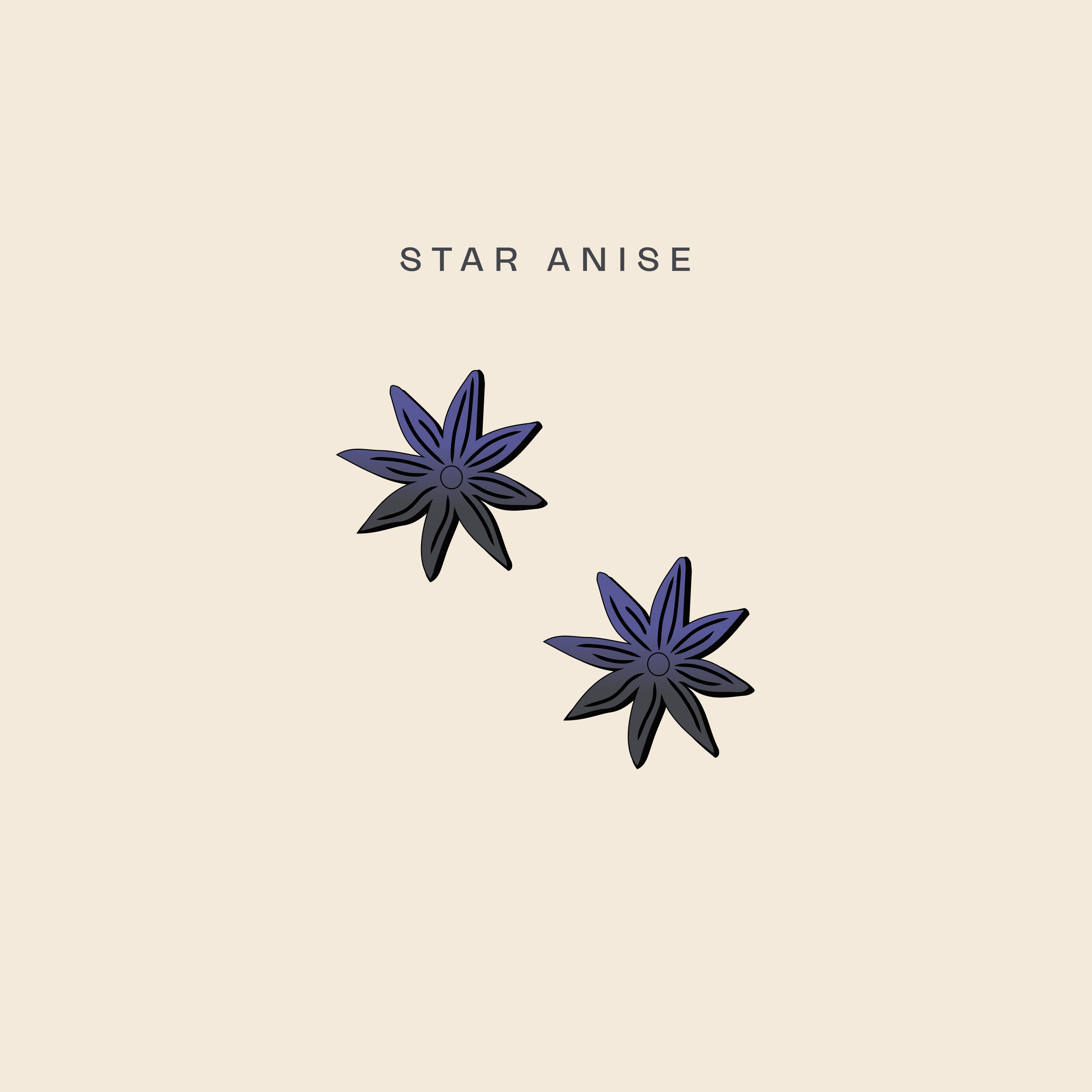 Illustration of two star anise pods, adding warm spice notes in Brass Lion Pahit Pink Gin