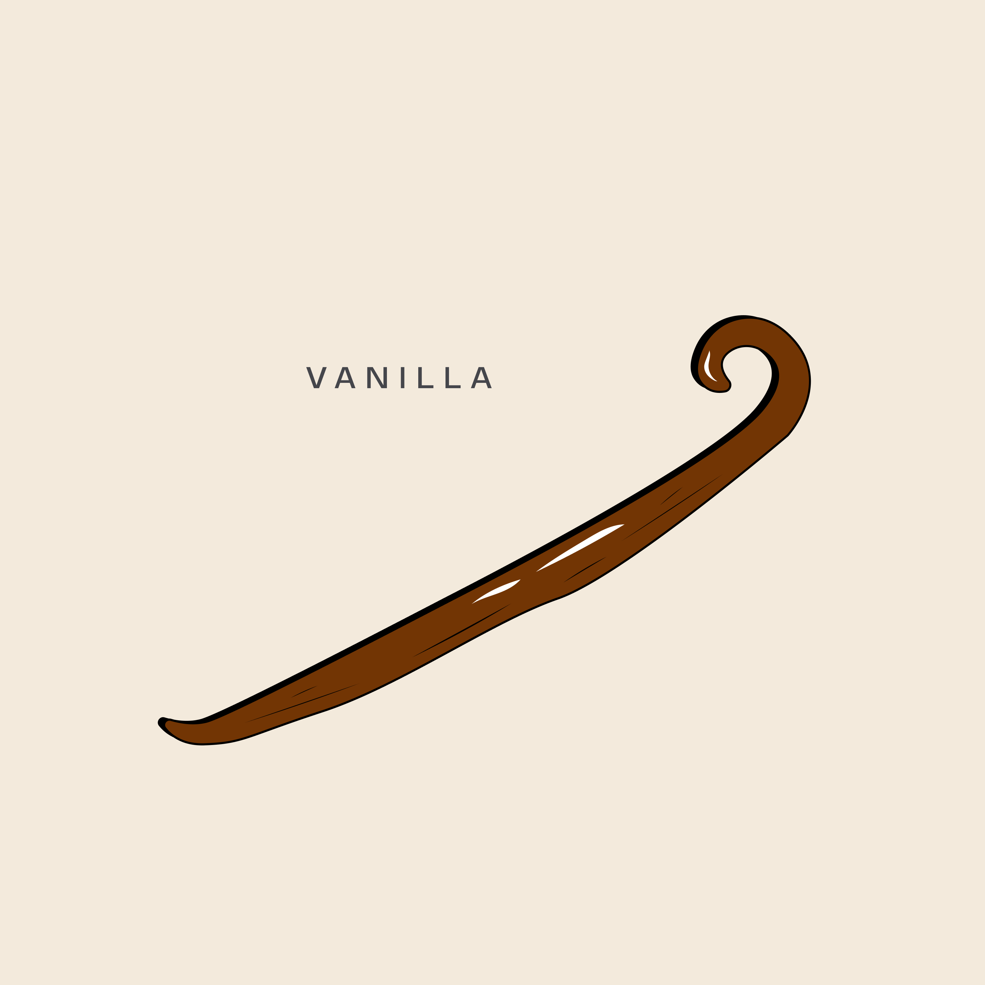 Illustration of a vanilla bean pod, used to add warmth and smoothness in Brass Lion Barrel Aged Gin